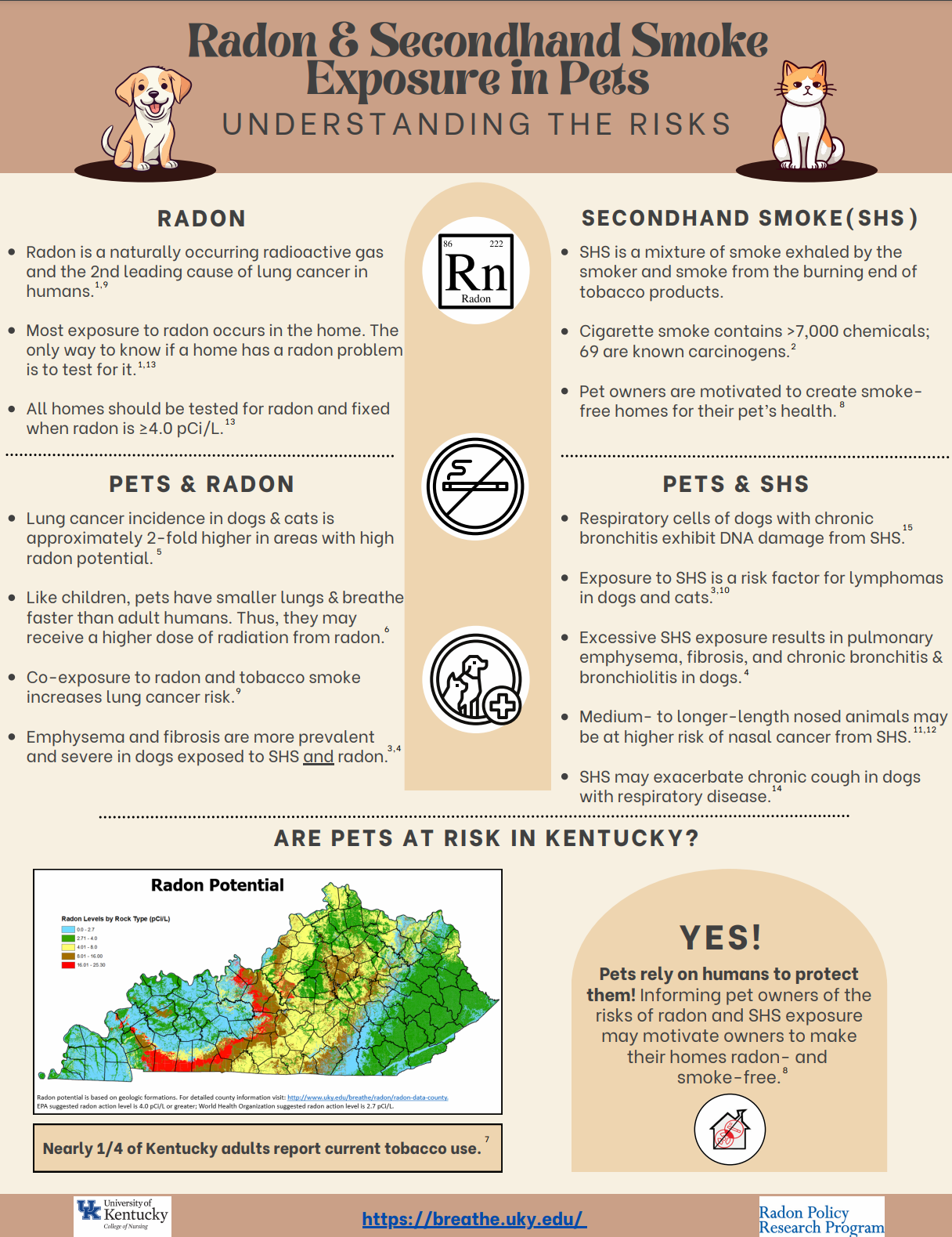  Cover image of the facts sheet