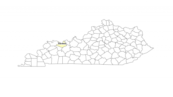 Map showing where Daviess county is located within Kentucky.