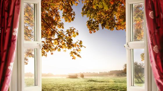 Stock photo showing windows open, letting fresh air in, looking out into a pasture/nature scene. 